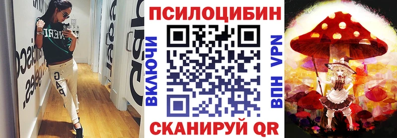 Галлюциногенные грибы Magic Shrooms  закладка  Светогорск 
